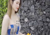 Avi-mp4-爱上你是一个错-吕口口-DJ凯利-车载美女写真视频