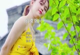 Avi-mp4-寂寞烟火-蓝心羽-DJ赫赫-车载美女写真视频