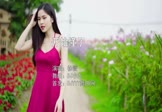 Avi-mp4-开始懂了-徐薇-DJ小九-车载美女写真视频