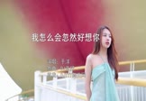 Avi-mp4-我怎么会忽然好想你-于洋-DJ京仔-车载美女写真视频