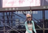 Avi-mp4-不是因为寂寞才想你-TRY-DJDDG-车载美女打碟视频