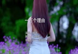 Avi-mp4-一万个理由-郑源-DJ晓勇-车载美女写真视频