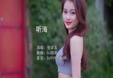 Avi-mp4-听海-张学友-DJ炮哥-车载美女写真视频