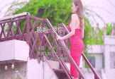 Avi-mp4-顿啦爱你-弹棉花的小花-DJ文总-车载美女写真视频