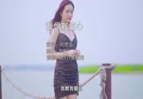 Avi-mp4-我恨我痴心-刘德华-DJR7-车载美女写真视频