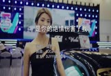 Avi-mp4-是你的绝情伤害了我-晨熙-DJCandy-车载美女车模视频