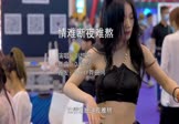 Avi-mp4-情难断夜难熬-刘悠然-DJ沈念-车载美女车模视频