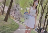 Avi-mp4-伤了的心再伤心-Catcat-DJ彭锐-车载美女写真视频