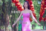 Avi-mp4-你是我拒绝别人的理由-赵霏儿-DJ伦大人-车载美女写真视频