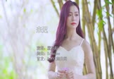 Avi-mp4-来迟-戴羽彤-DJHouse-车载美女写真视频