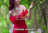 Avi-mp4-用情-羊羊-DJKzai-车载美女写真视频