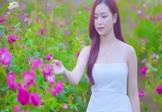 Avi-mp4-烟雨唱扬州-半吨兄弟-DJ小罗-车载美女写真视频