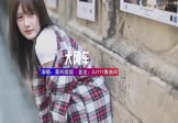 Avi-mp4-大风车-莫叫姐姐-DJK2-车载美女写真视频