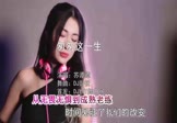 Avi-mp4-匆匆这一生-苏谭谭-DJ彭锐-车载美女DJ打碟视频