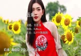 Avi-mp4-后来-刘若英-DJWave-车载美女写真视频