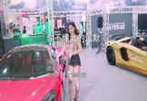 Avi-mp4-你不懂我的沉默-女声-DJ版-车载美女车模视频