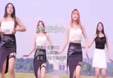 Avi-mp4-别怕我伤心-谷雪AIK-DJ阿福-车载美女跳舞视频