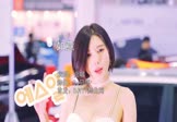 Avi-mp4-如意-合唱-DJ贝塔-车载美女车模视频