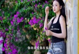 Avi-mp4-月亮代表我的心-女声-DJHouse-车载美女写真视频