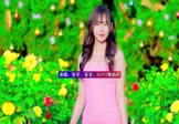 Avi-mp4-小小的太阳-张宇-DJ阿亮-车载美女写真视频