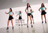 Avi-mp4-温柔乡-陈雅森-DJ小伟-车载美女跳舞视频