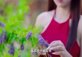 Avi-mp4-因为爱所以爱-谢霆锋-DJATao-车载美女写真视频