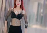 Avi-mp4-莫问归期-蒋雪儿-DJAj-车载美女跳舞视频