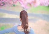 Avi-mp4-你总要学会向前走-任夏-DJ小叶-车载美女写真视频