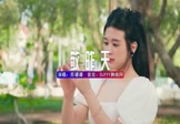 Avi-mp4-敬昨天-苏谭谭-DJ阿亮-车载美女写真视频