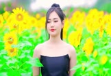 Avi-mp4-爱囚-庄心妍-DJcandy-车载美女写真视频