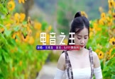 Avi-mp4-电音之王-王绎龙-DJHouse-车载美女写真视频