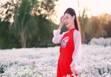 Avi-mp4-偷心-女声-DJTLk-车载美女写真视频