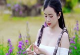 Avi-mp4-城府-许崇-DJHouse-车载美女写真视频