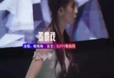 Avi-mp4-鸳鸯戏-略略略-DJ车载-车载美女DJ打碟视频