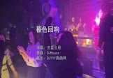 Avi-mp4-暮色回响-吉星出租-DJHouse-车载夜店DJ视频