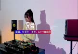 Avi-mp4-兄弟-任贤齐-DJHouse-车载美女DJ打碟视频