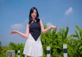 Avi-mp4-离别开出花-就是南方凯-DJHouse-车载美女跳舞视频