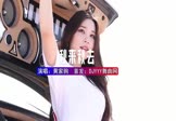 Avi-mp4-秋来秋去-王晴-DJHouse-车载美女车模视频