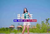 Avi-mp4-感官先生-韩尚霏-DJHouse-车载美女跳舞视频