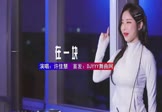 Avi-mp4-在一块-许佳慧-DJ车载-车载美女DJ打碟视频