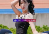 Avi-mp4-走了就别后悔-代理仁-DJHouse-车载美女车模视频