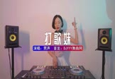 Avi-mp4-打歌妹-男声-DJ版-车载美女DJ打碟视频