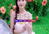 Avi-mp4-平凡之路-朴树-DJHouse-车载美女写真视频