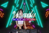 Avi-mp4-你是我胸口永远的痛-林忆莲-王杰-DJHouse-车载美女DJ打碟视频