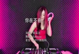 Avi-mp4-你在不在-郭采洁-DJHouse-车载美女DJ打碟视频