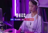 Avi-mp4-爱情买卖-慕容晓晓-DJ车载-车载美女DJ打碟视频