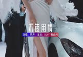 Avi-mp4-不该用情-男声-DJHouse-车载美女车模视频