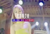 Avi-mp4-真的用了心-晓峰-DJHouse-车载美女DJ打碟视频